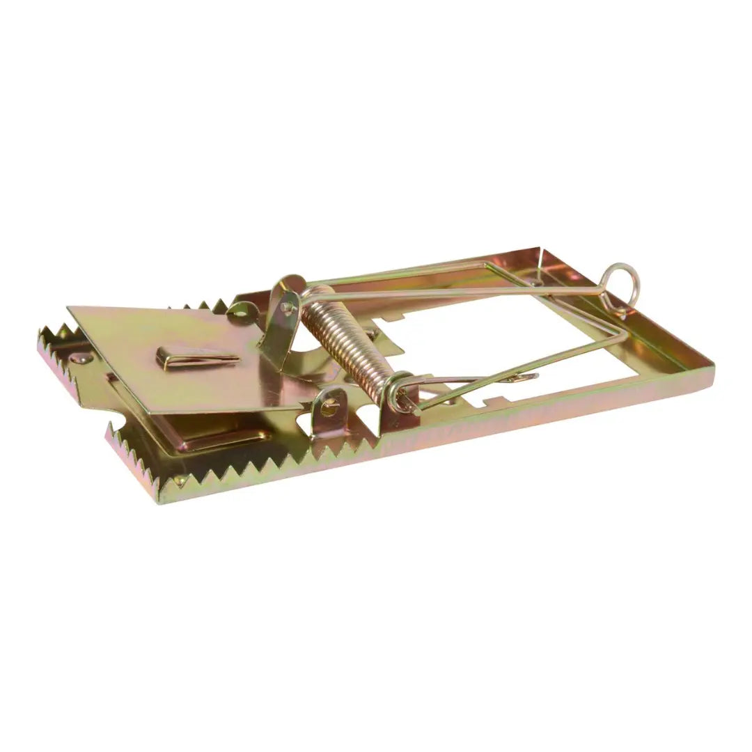 Trampa para ratón tamaño pequeño o grande para control de roedores