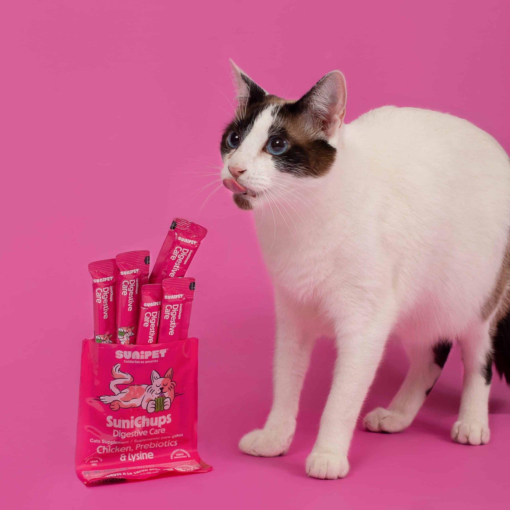 Snack digestivo para gatos que apoya la salud intestinal con sabor a pollo