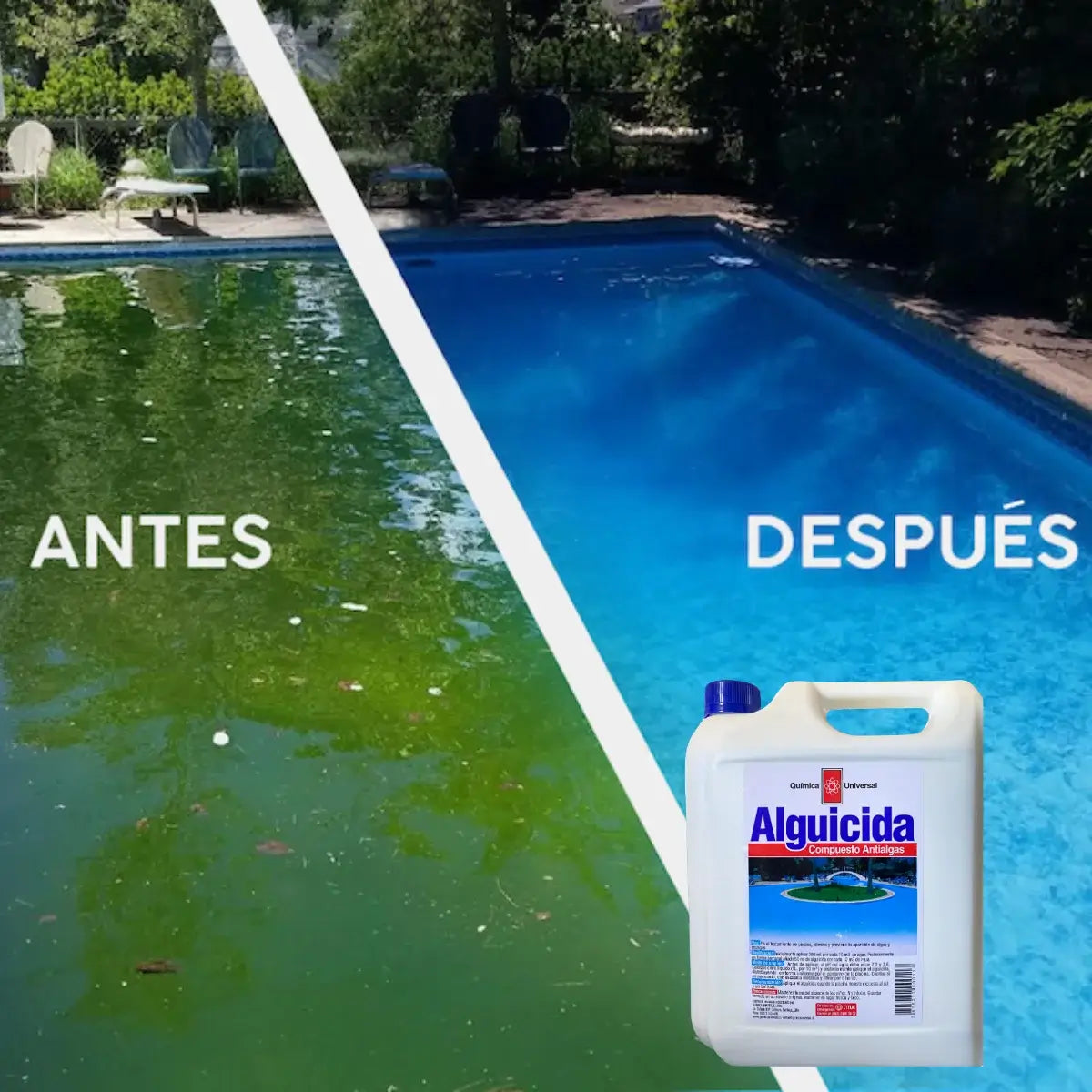 Alguicida Química Universal de 1 litro para prevención y control de algas en piscinas y tratamiento del agua