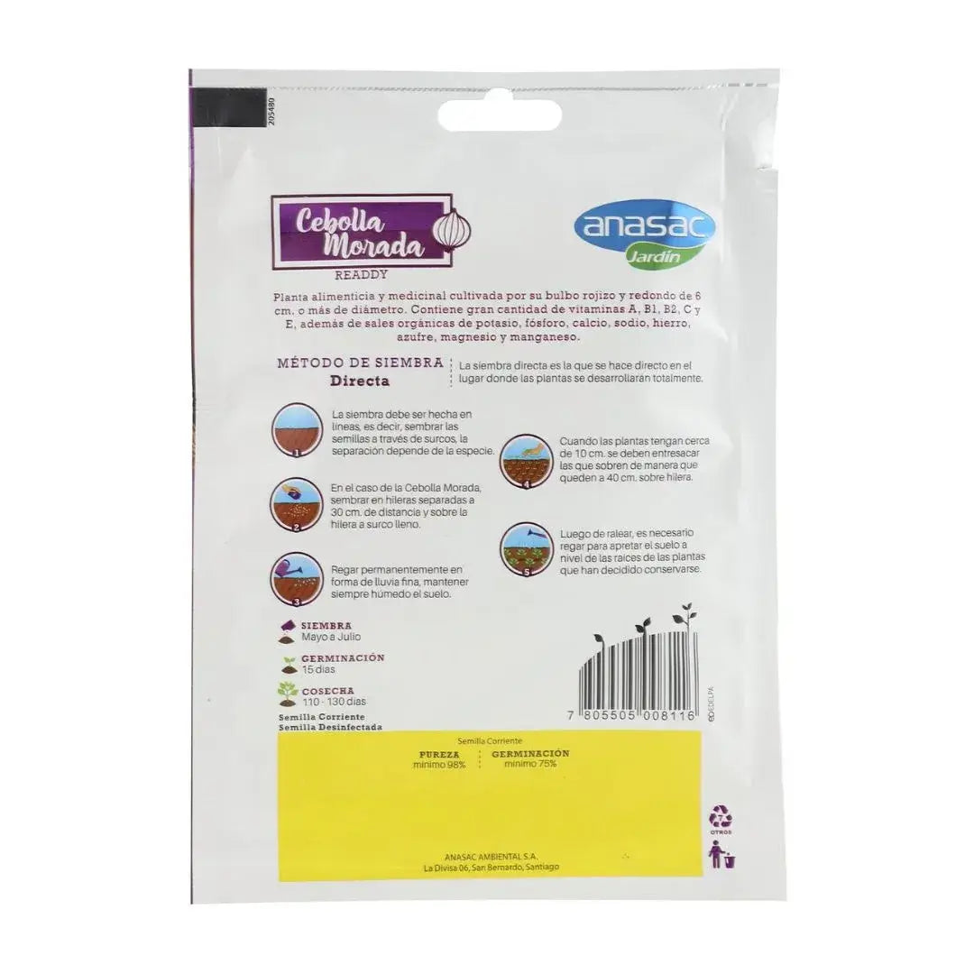 Cebolla morada