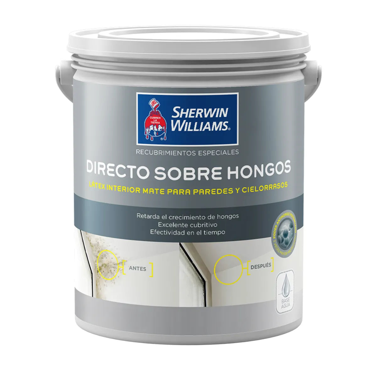 Pintura antihongos Sherwin Williams, esmalte al agua directo sobre hongos 1/4GL.