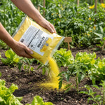 Azufre Fertilizante 100% puro Mohican bolsa 1 kg