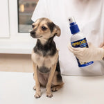 Fiprokill spray antipulgas para perros y gatos, con protección duradera.