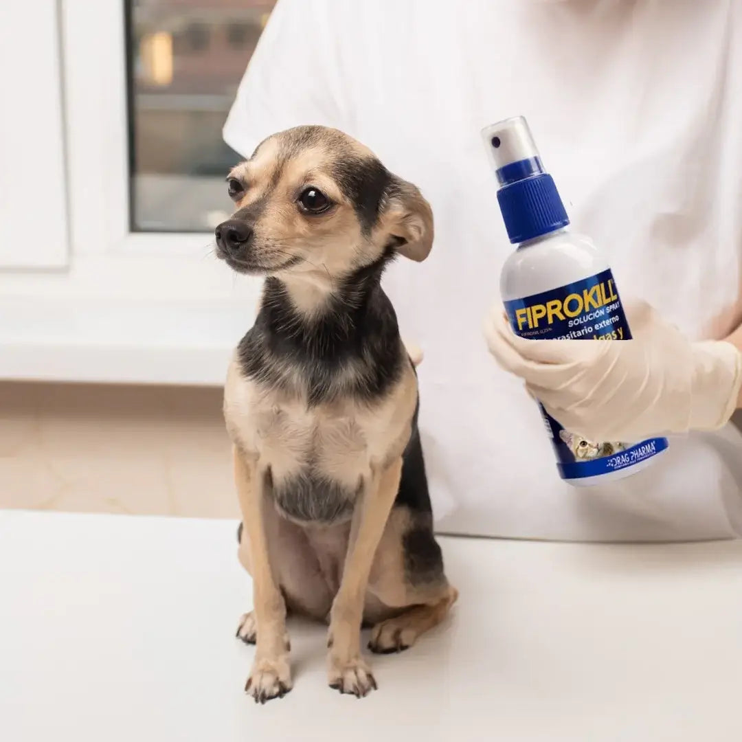 Fiprokill spray antipulgas para perros y gatos, con protección duradera.