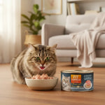 Lata de alimento húmedo Gourmet sabor palitos de cangrejo para gatos, comida completa y apetitosa