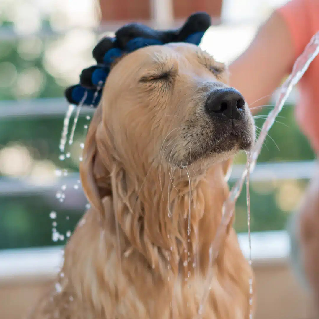 shampoo antialérgico Alerdrag para la piel sensible de perros y gatos