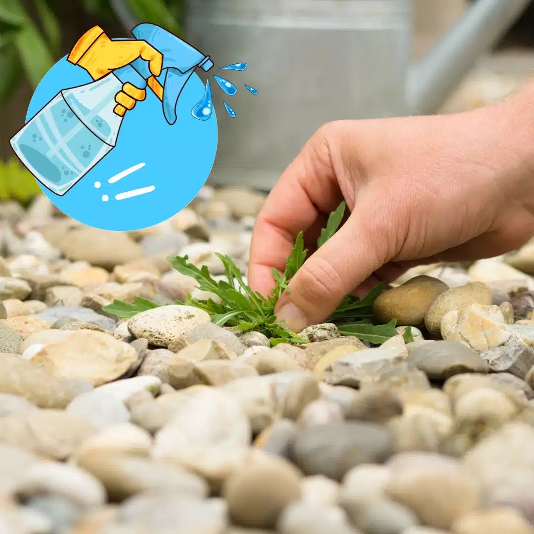 Herbicida Bazooka Plus, solución química para el control y eliminación eficaz de todo tipo de malezas y hierbas no deseadas en cultivos y jardines.