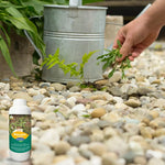 Herbicida Bazooka Plus, solución química para el control y eliminación eficaz de todo tipo de malezas y hierbas no deseadas en cultivos y jardines.