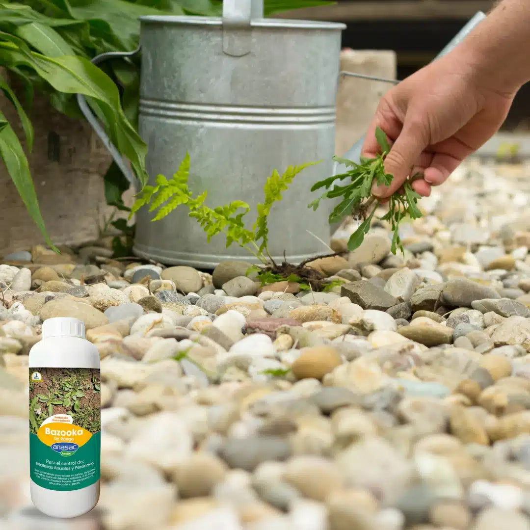 Herbicida Bazooka Plus, solución química para el control y eliminación eficaz de todo tipo de malezas y hierbas no deseadas en cultivos y jardines.