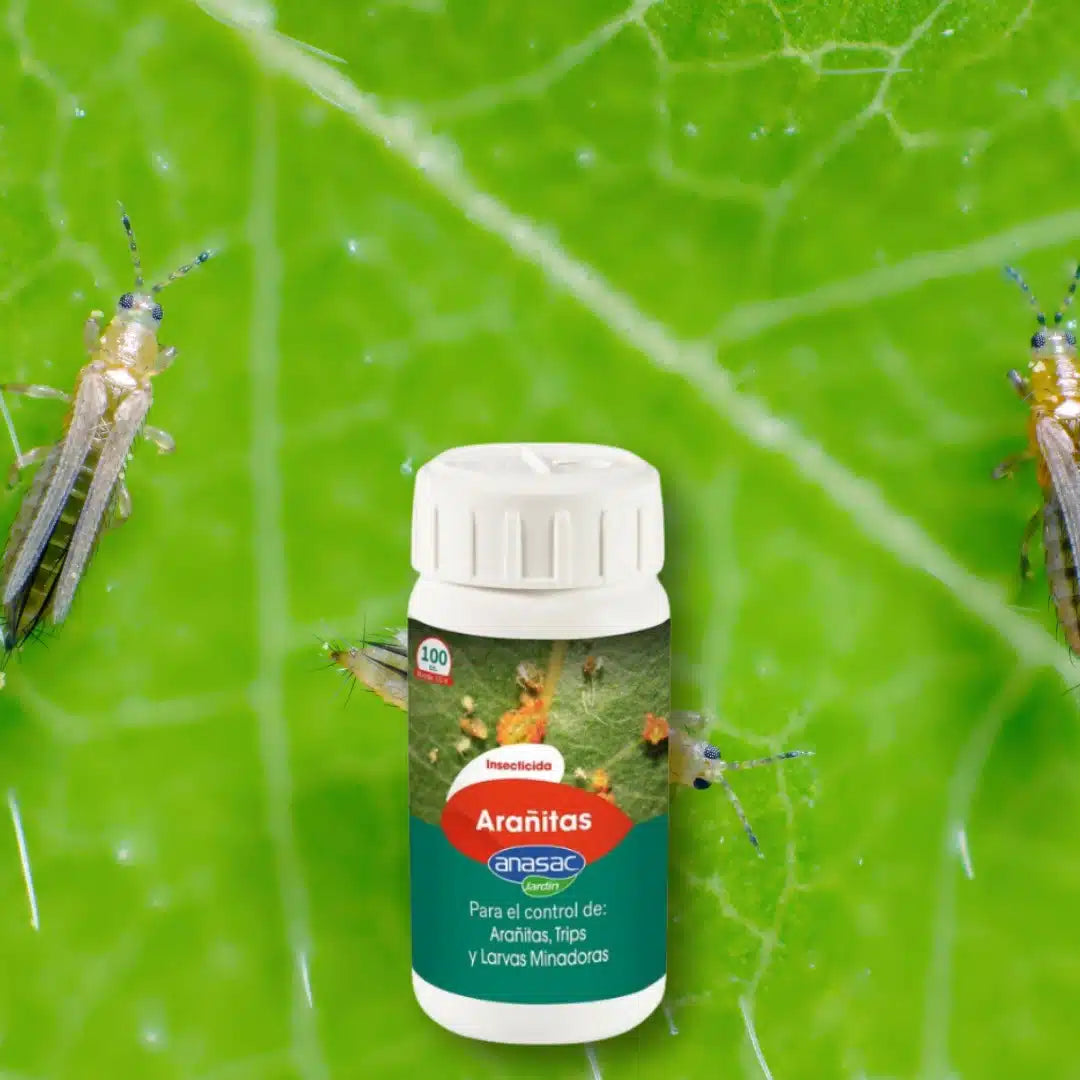 Insecticida, acaricida, insecticida para arañas,