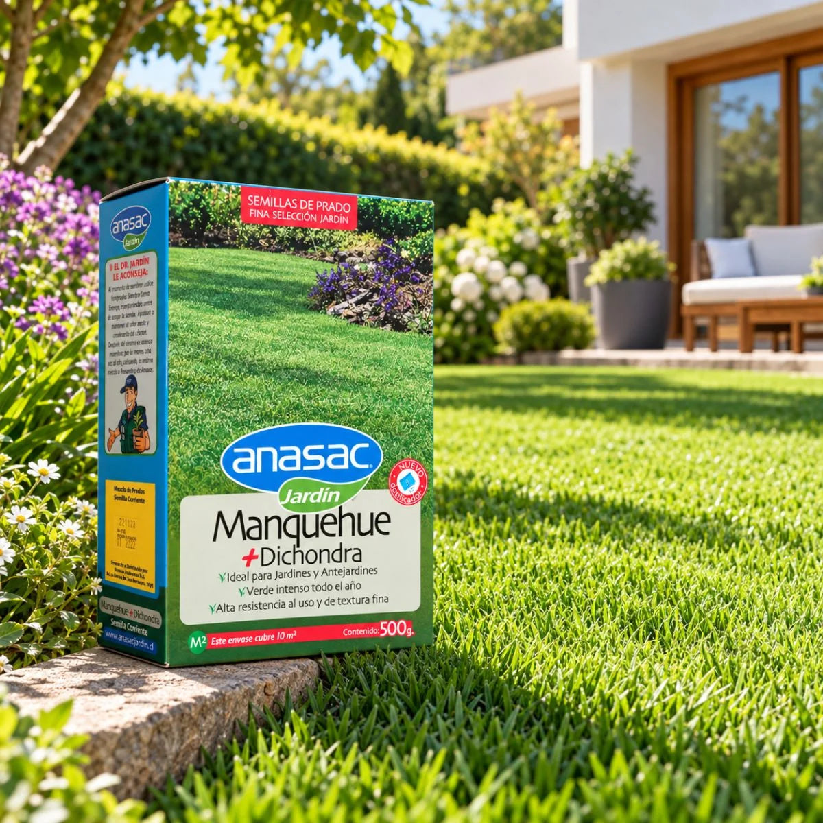 Semilla de pasto mezcla Manquehue Dichondra 500 g Anasac