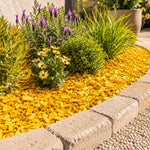 Mulch amarillo decorativo 60 litros 15 kg para jardines y paisajismo