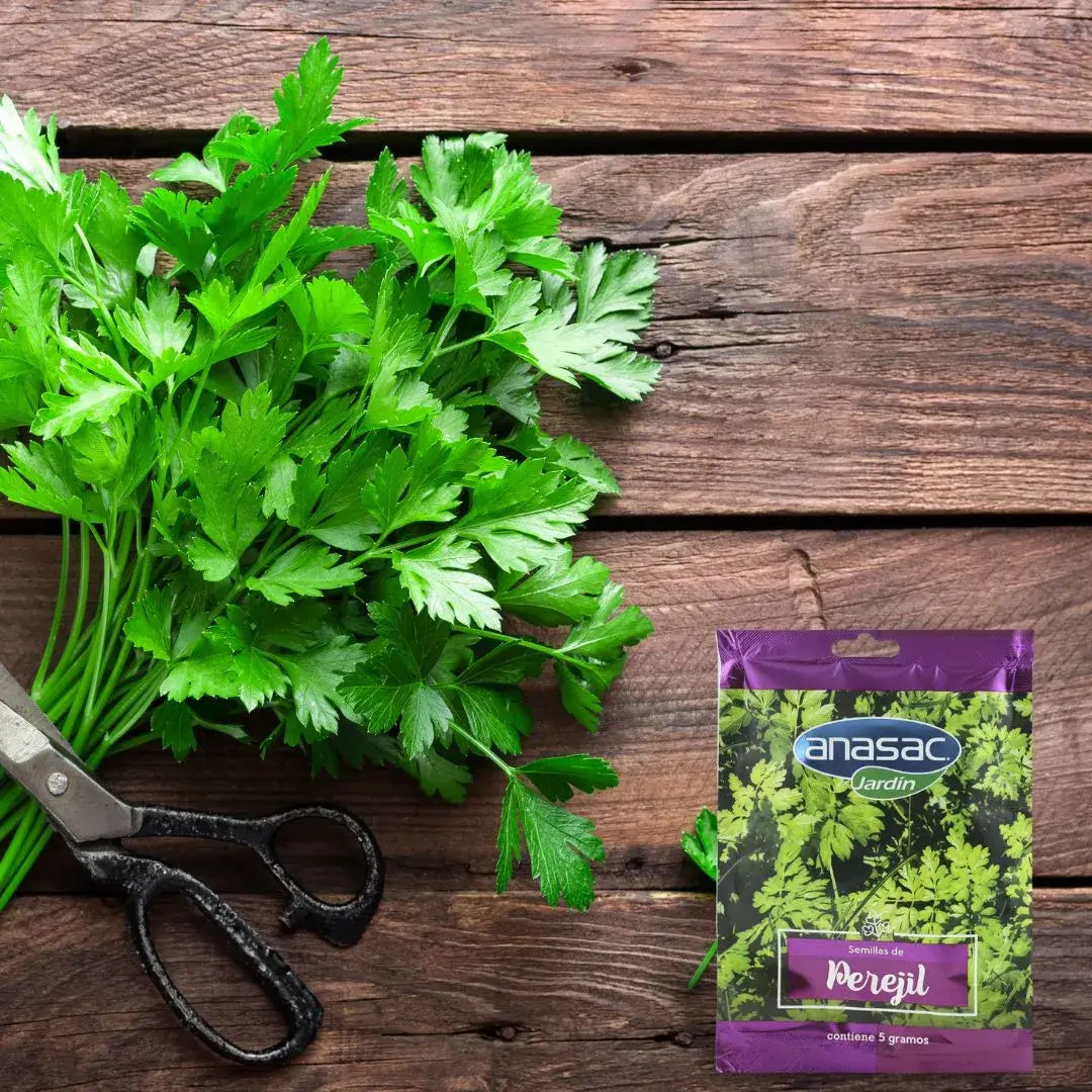 Semilla Perejil Anasac (5gr) - Cultiva perejil fresco en tu hogar