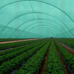 Malla Raschel de 4,21x10 m, fabricado en HDPE, alta resistencia y durabilidad para exteriores.