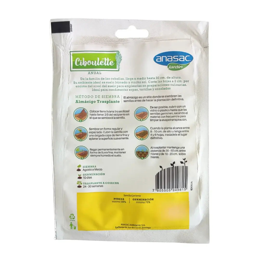 Semilla de Ciboulette Anasac