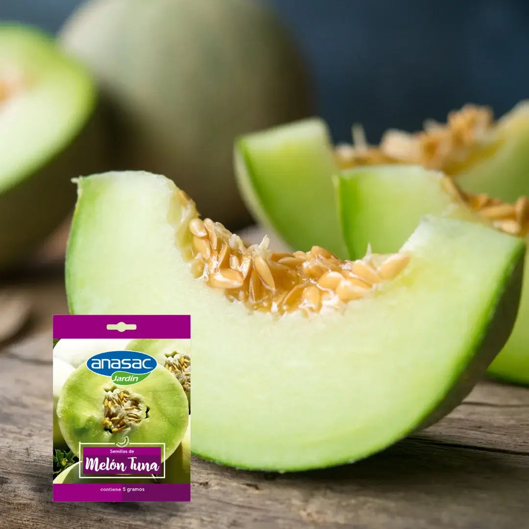 Semilla de Melón Tuna Anasac.