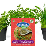 Semillas Mix Condimentos Anasac