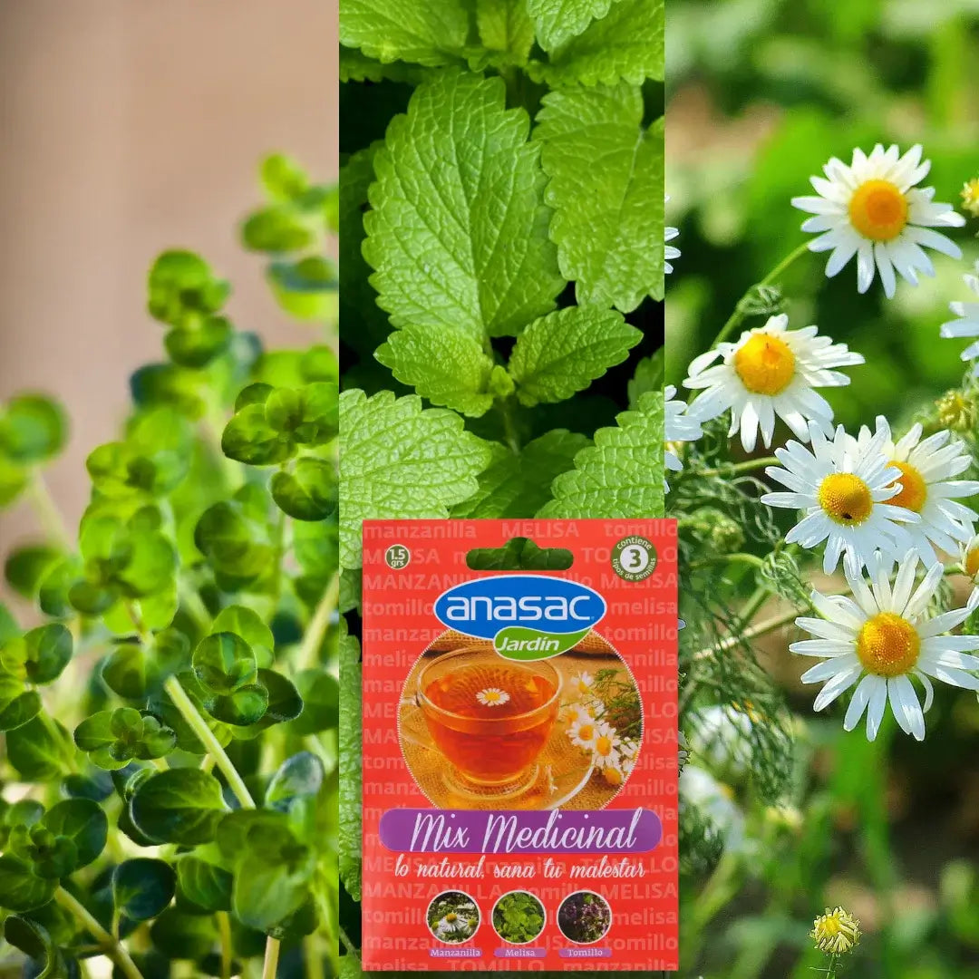 Semillas Mix Medicinales Anasac con Manzanilla, Melisa y Tomillo.