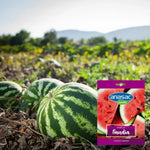 Semillas de Sandía Anasac