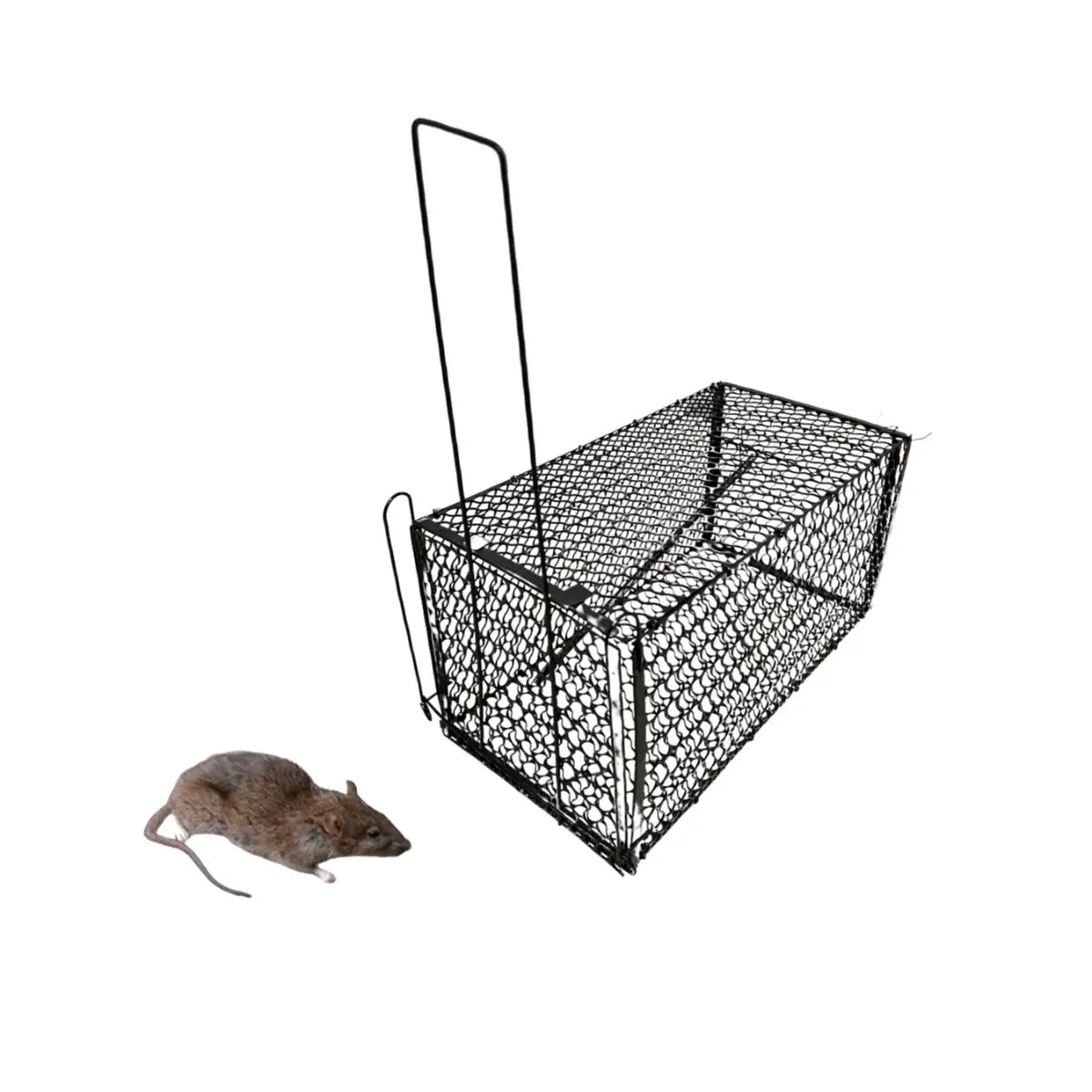 Jaula trampa para ratones metálica plegable de captura viva para roedores pequeños.