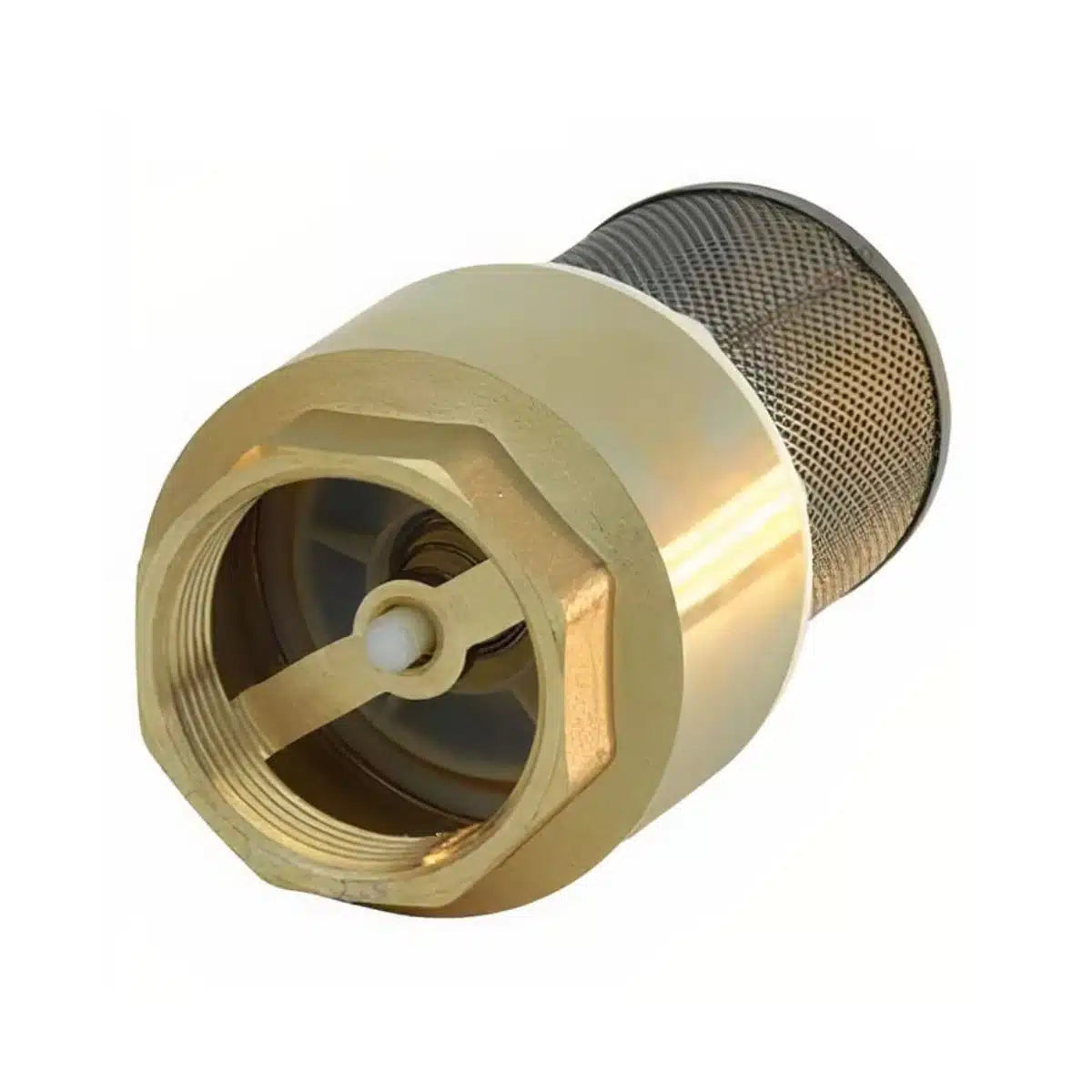 Válvula de retención de fondo Taumm 1/2'' con filtro, para protección del sistema de bombeo.