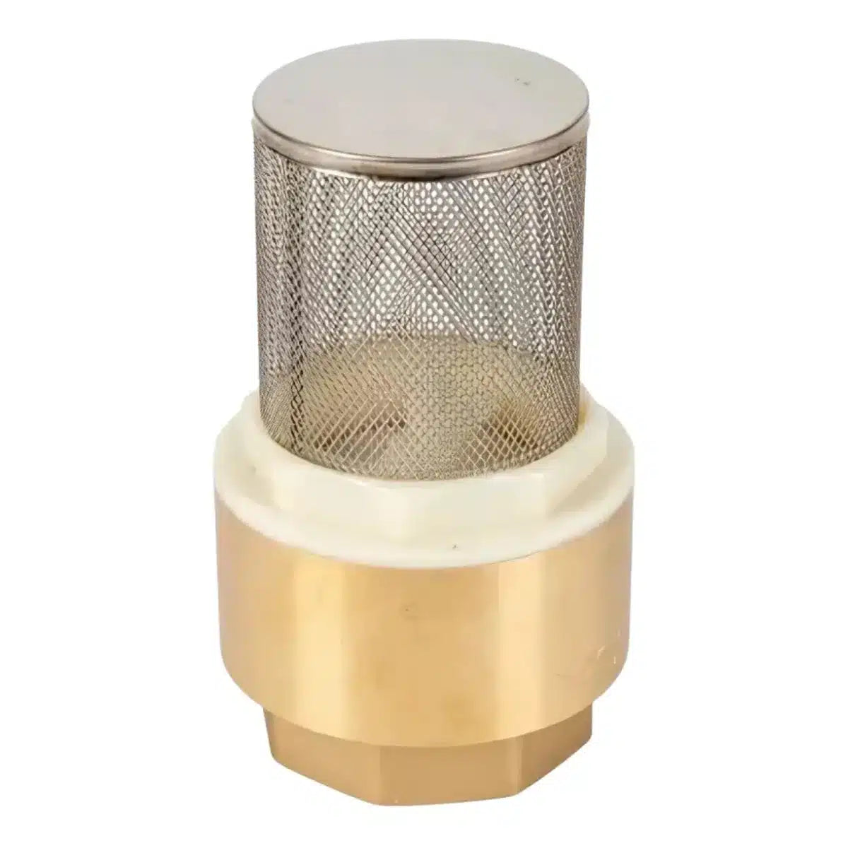 Válvula de retención de fondo Taumm 1'' con filtro de acero inoxidable para la protección del sistema.