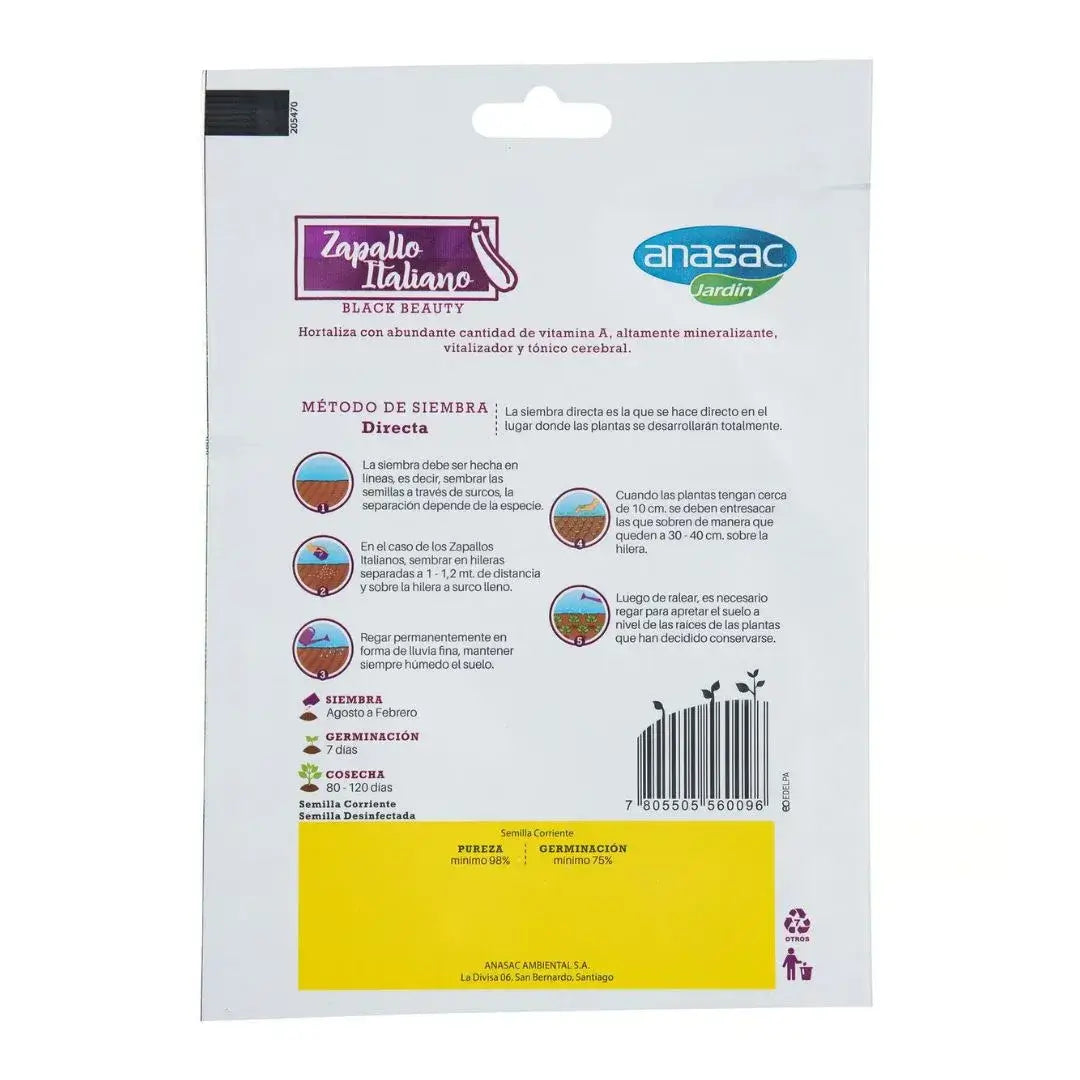 Semillas de Zapallo Italiano Anasac (5 Gr)