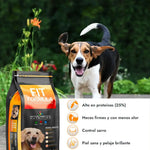 alimento premium para perros alimento para perros alimento para perros adulto comida para mascota comida para perro alimento adulto fit formula alimento adulto para perros
