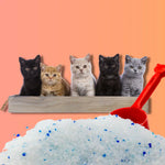 cristales sanitarios Fit Formula con aroma a lavanda para gatos, alta absorción y control de olores