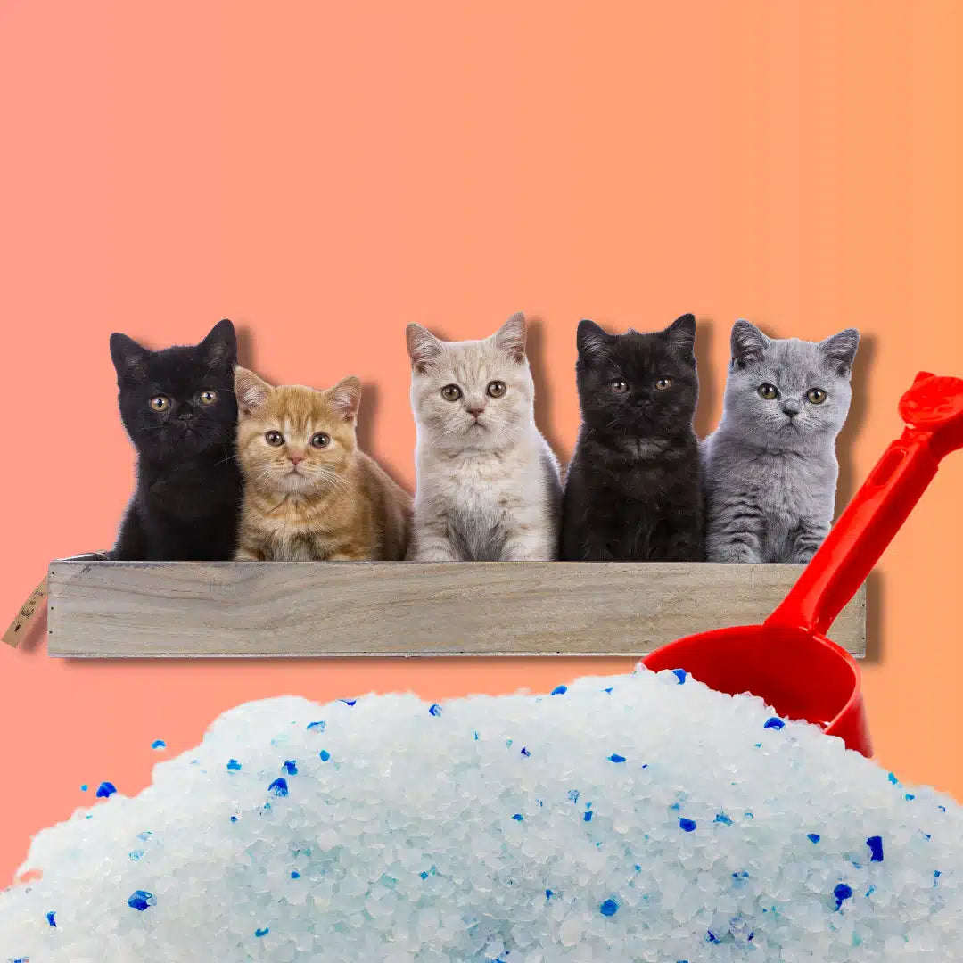 cristales sanitarios Fit Formula con aroma a lavanda para gatos, alta absorción y control de olores