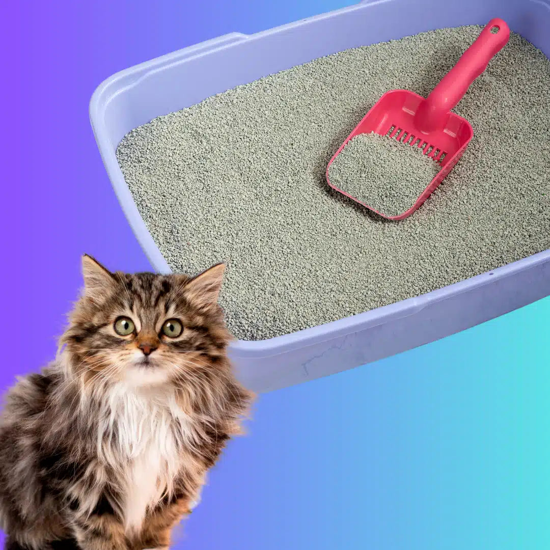 Saco de 4 kg de arena aglomerante Fit Fórmula con aroma a lavanda para gatos