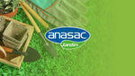 Semillas de prado Anasac con trébol enano