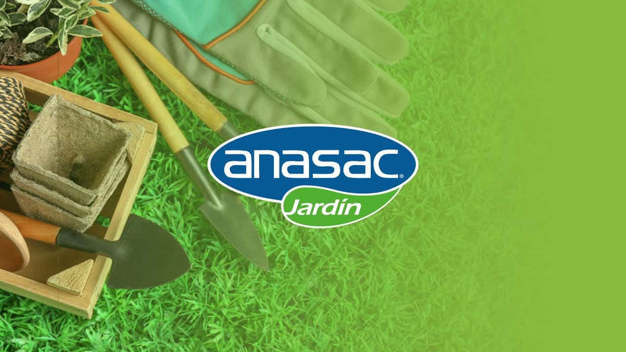 Semillas de prado Anasac con trébol enano