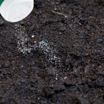 Fungicida, fungicida para plantas, fungicida para cesped