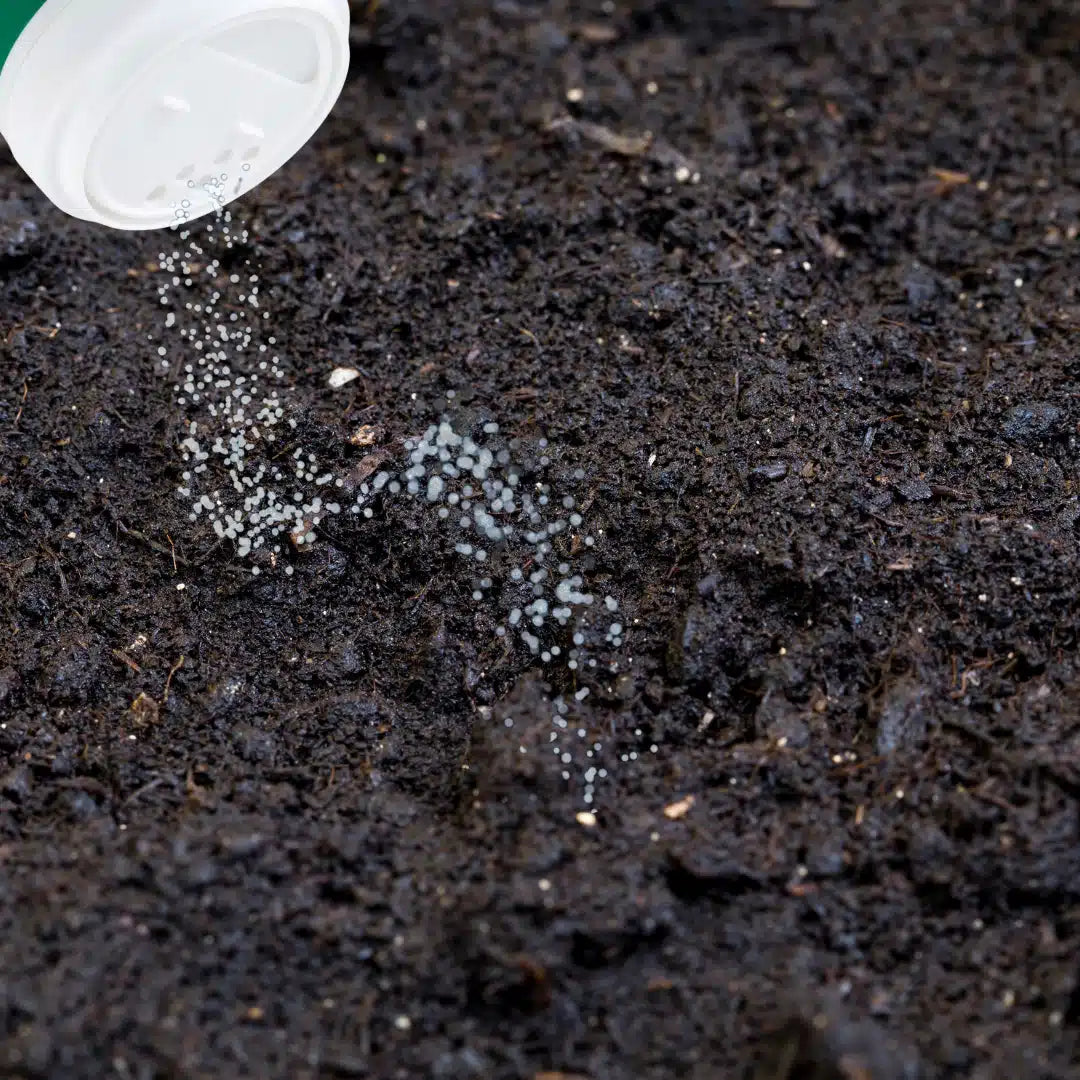 Fungicida, fungicida para plantas, fungicida para cesped