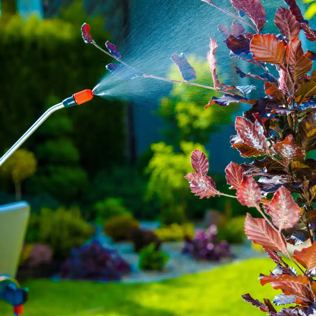 oxicloruro de cobre, fungicida, fungicida para plantas, fungicida a base de cobre, fungicida de cobre