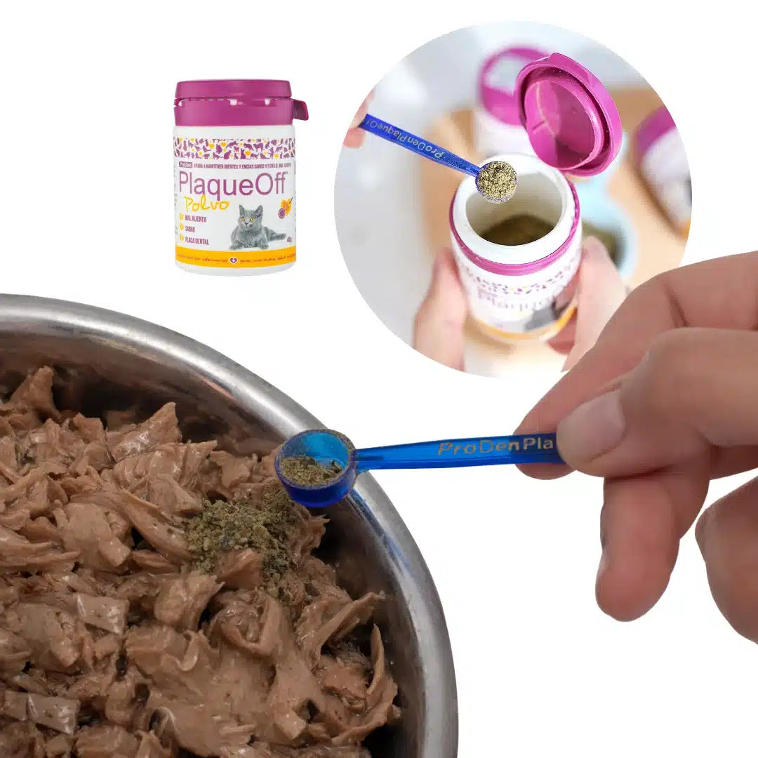 Kit de higiene dental para gatos con alimento húmedo Gourmet enriquecido con Omega 3, para cuidado bucal y nutrición premium.