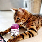 Proden PlaqueOff en polvo para gatos, suplemento natural a base de algas para combatir el sarro y el mal aliento felino.