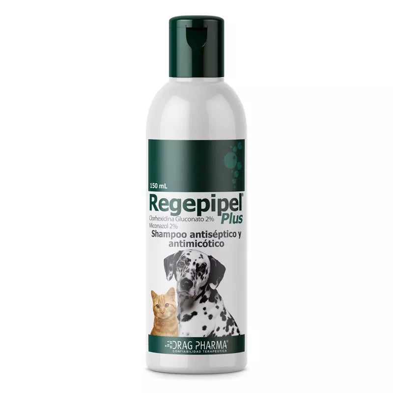 Shampoo Regepipel antiséptico y antimicótico para perros y gatos, tratamiento veterinario para combatir infecciones de la piel y hongos en mascotas.