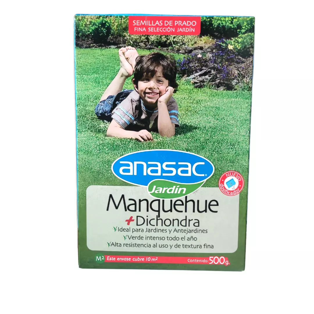 Semillas de pasto Anasac mezcla Manquehue con dichondra