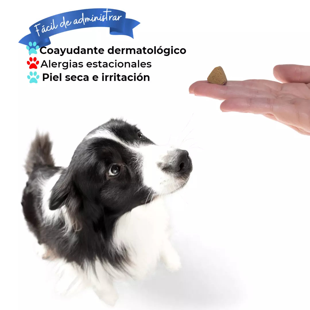 suplemento natural Suniallergy para mascotas, formulado para el cuidado intensivo y alivio de síntomas de alergias en perros y gatos.