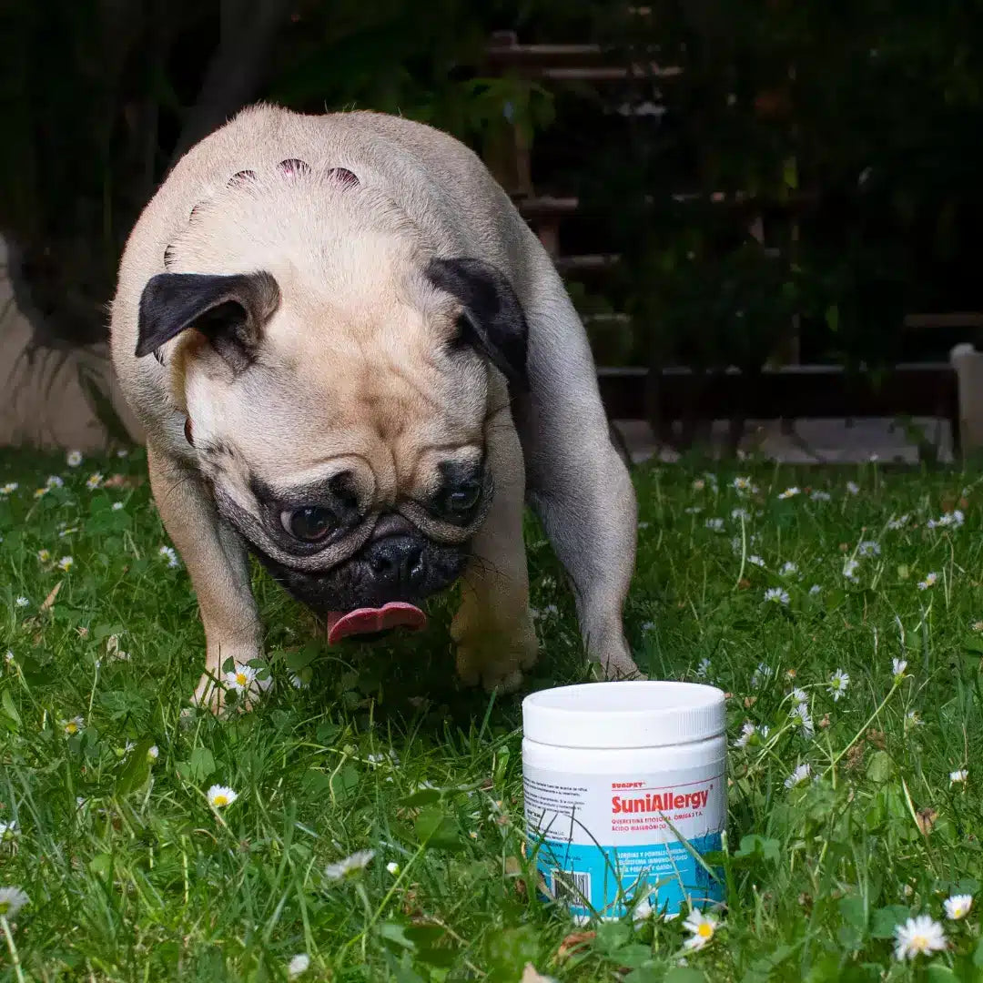 suplemento natural Suniallergy para mascotas, formulado para el cuidado intensivo y alivio de síntomas de alergias en perros y gatos.