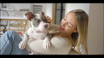 Spray dental Oxyfresh para mascotas que ayuda a mantener higiene bucal