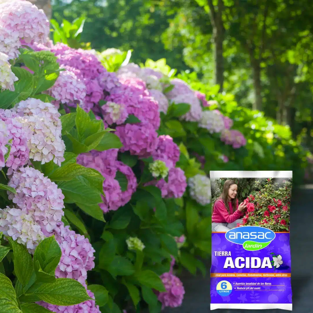 Tierra ácida 6 litros para plantas acidófilas y jardinería